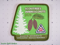 Click to enlarge 2020 Scoutrees